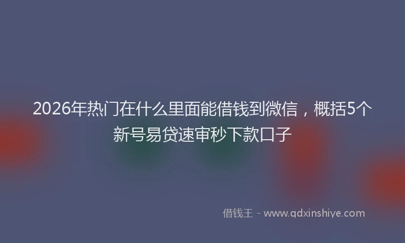 2026年热门在什么里面能借钱到微信，概括5个新号易贷速审秒下款口子