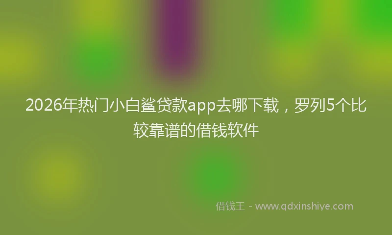 2026年热门小白鲨贷款app去哪下载，罗列5个比较靠谱的借钱软件