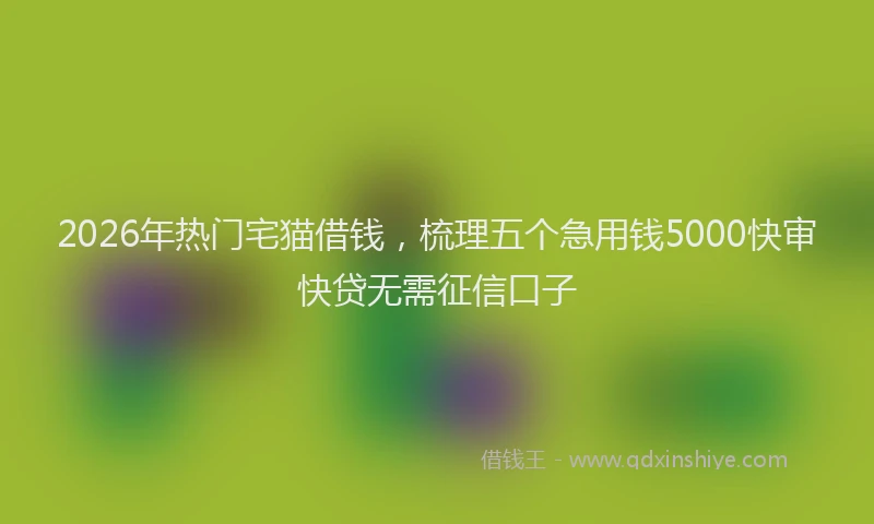 2026年热门宅猫借钱,梳理五个急用钱5000快审快贷无需征信口子