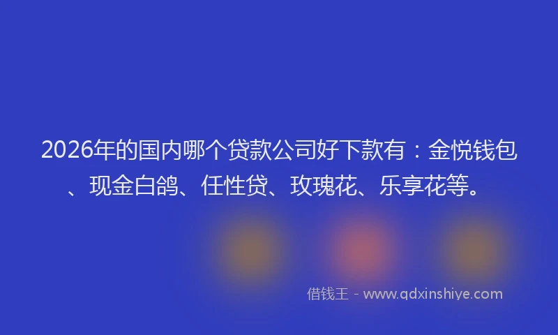 2026年的国内哪个贷款公司好下款有：金悦钱包、现金白鸽、任性贷、玫瑰花、乐享花等。