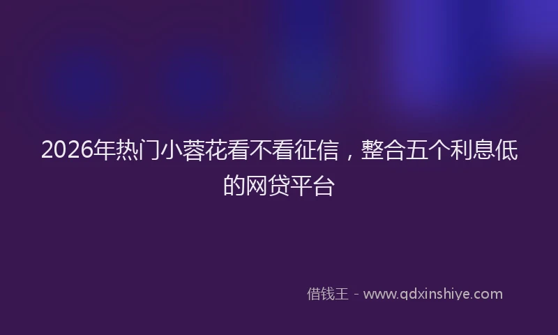 2026年热门小蓉花看不看征信，整合五个利息低的网贷平台