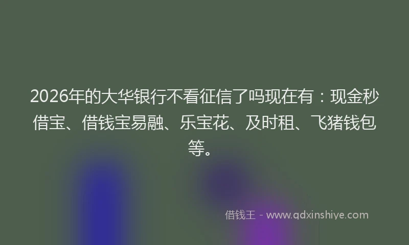2026年的大华银行不看征信了吗现在有：现金秒借宝、借钱宝易融、乐宝花、及时租、飞猪钱包等。