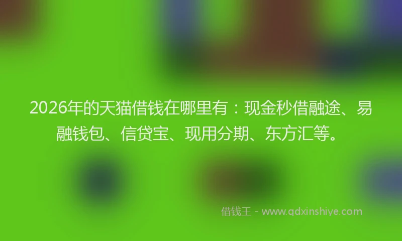 2026年的天猫借钱在哪里有：现金秒借融途、易融钱包、信贷宝、现用分期、东方汇等。