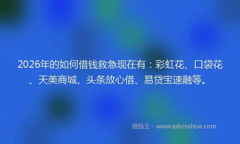 2026年的如何借钱救急现在有：彩虹花、口袋花、天美商城、头条放心借、易贷宝速融等。
