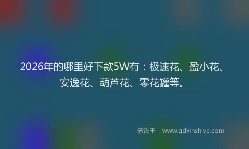 2026年的哪里好下款5W有：极速花、盈小花、安逸花、葫芦花、零花罐等。