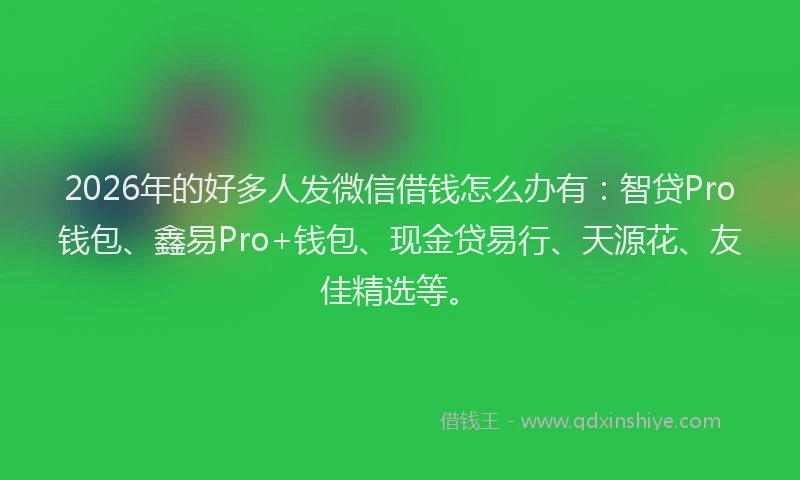 2026年的好多人发微信借钱怎么办有:智贷Pro钱包、鑫易Pro+钱包、现金贷易行、天源花、友佳精选等。