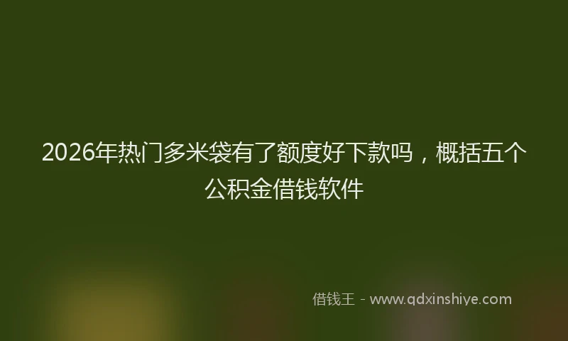 2026年热门多米袋有了额度好下款吗，概括五个公积金借钱软件