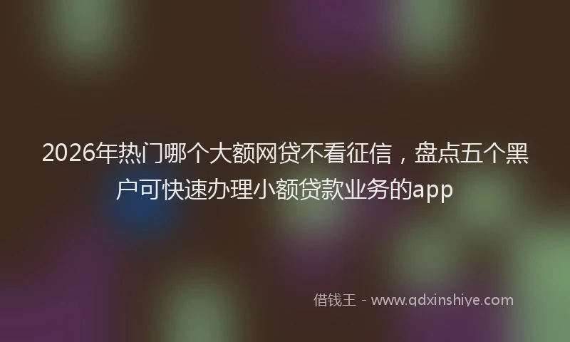 2026年热门哪个大额网贷不看征信，盘点五个黑户可快速办理小额贷款业务的app