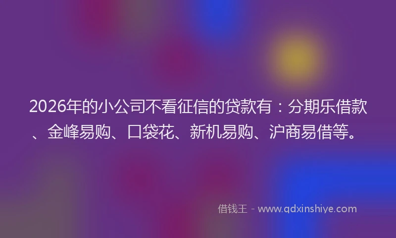 2026年的小公司不看征信的贷款有：分期乐借款、金峰易购、口袋花、新机易购、沪商易借等。