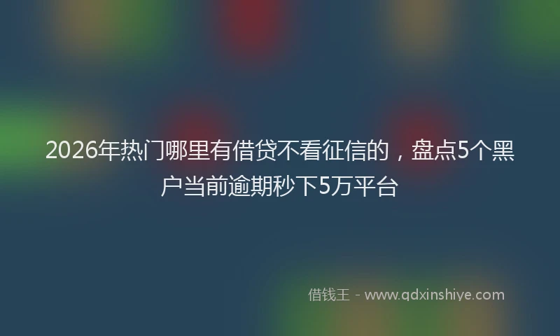 2026年热门哪里有借贷不看征信的，盘点5个黑户当前逾期秒下5万平台
