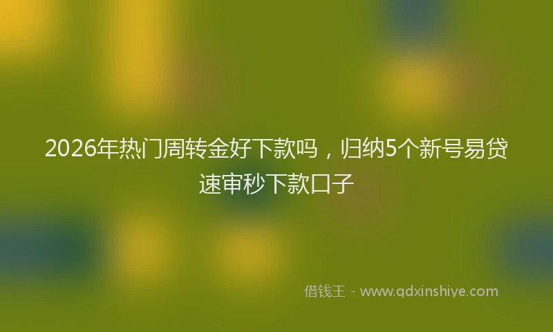 2026年热门周转金好下款吗，归纳5个新号易贷速审秒下款口子