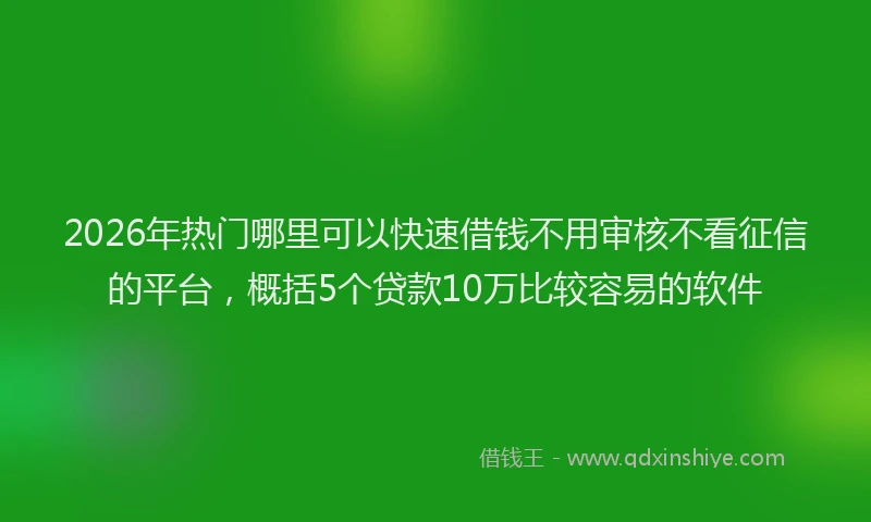 2026年热门哪里可以快速借钱不用审核不看征信的平台，概括5个贷款10万比较容易的软件