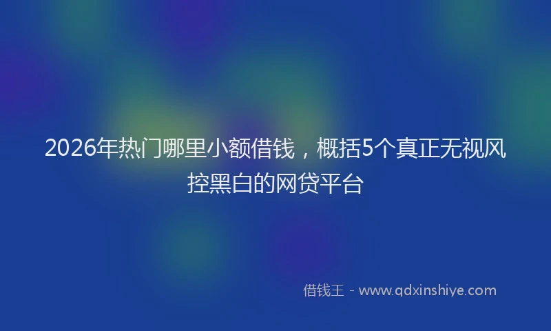 2026年热门哪里小额借钱，概括5个真正无视风控黑白的网贷平台