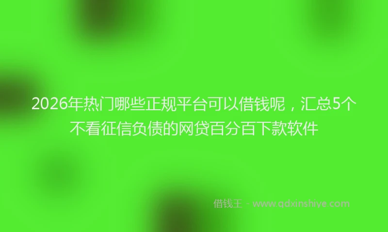 2026年热门哪些正规平台可以借钱呢，汇总5个不看征信负债的网贷百分百下款软件