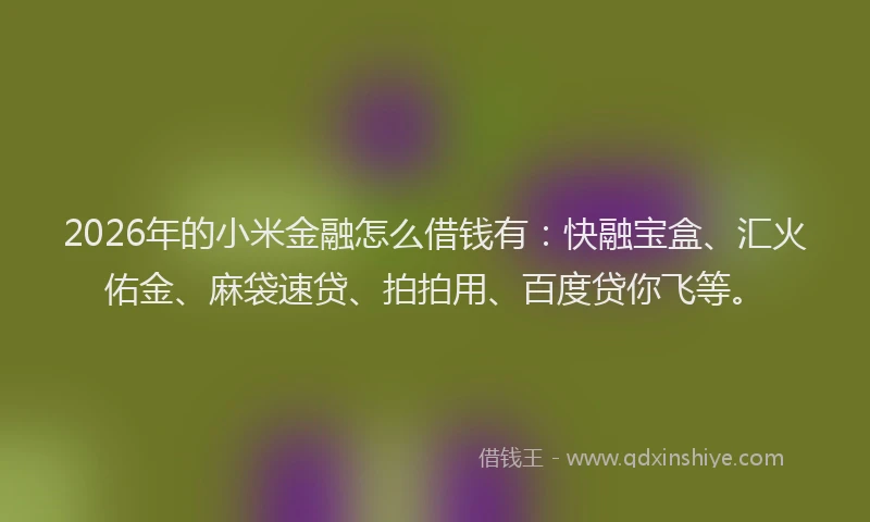 2026年的小米金融怎么借钱有：快融宝盒、汇火佑金、麻袋速贷、拍拍用、百度贷你飞等。