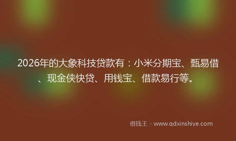 2026年的大象科技贷款有：小米分期宝、甄易借、现金侠快贷、用钱宝、借款易行等。
