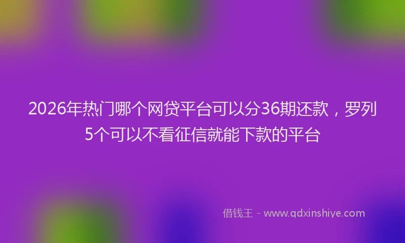 2026年热门哪个网贷平台可以分36期还款，罗列5个可以不看征信就能下款的平台