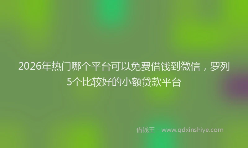 2026年热门哪个平台可以免费借钱到微信，罗列5个比较好的小额贷款平台