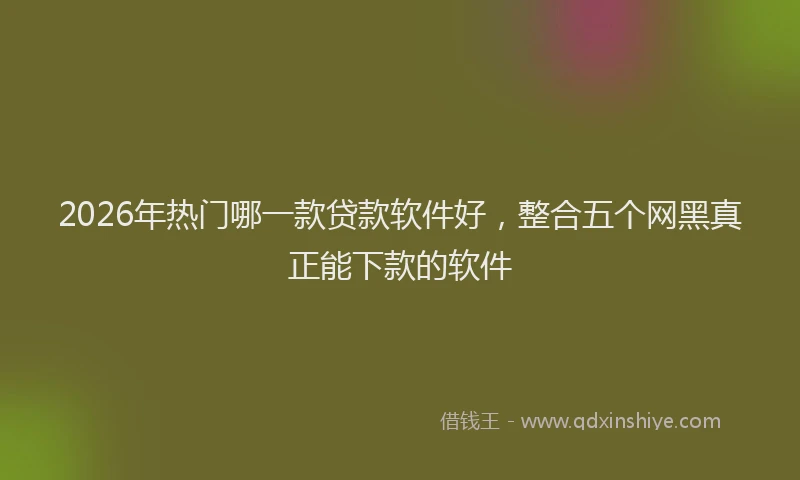 2026年热门哪一款贷款软件好，整合五个网黑真正能下款的软件