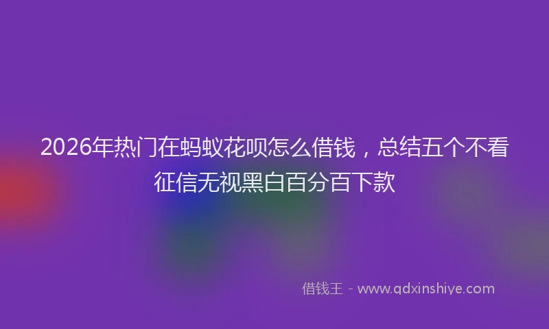 2026年热门在蚂蚁花呗怎么借钱，总结五个不看征信无视黑白百分百下款