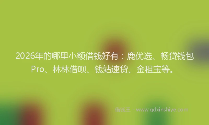 2026年的哪里小额借钱好有：鹿优选、畅贷钱包Pro、林林借呗、钱站速贷、金租宝等。