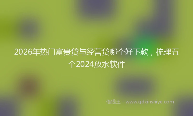2026年热门富贵贷与经营贷哪个好下款，梳理五个2024放水软件