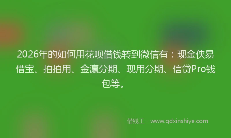 2026年的如何用花呗借钱转到微信有：现金侠易借宝、拍拍用、金瀛分期、现用分期、信贷Pro钱包等。