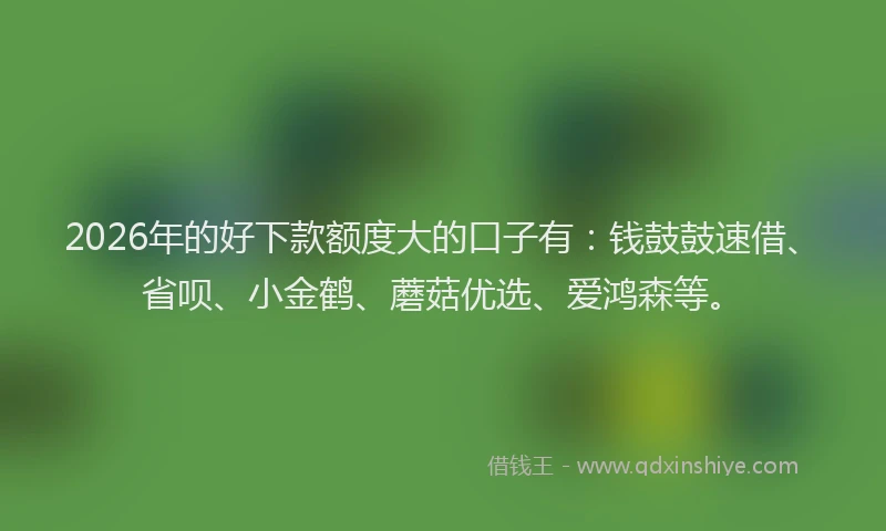 2026年的好下款额度大的口子有：钱鼓鼓速借、省呗、小金鹤、蘑菇优选、爱鸿森等。
