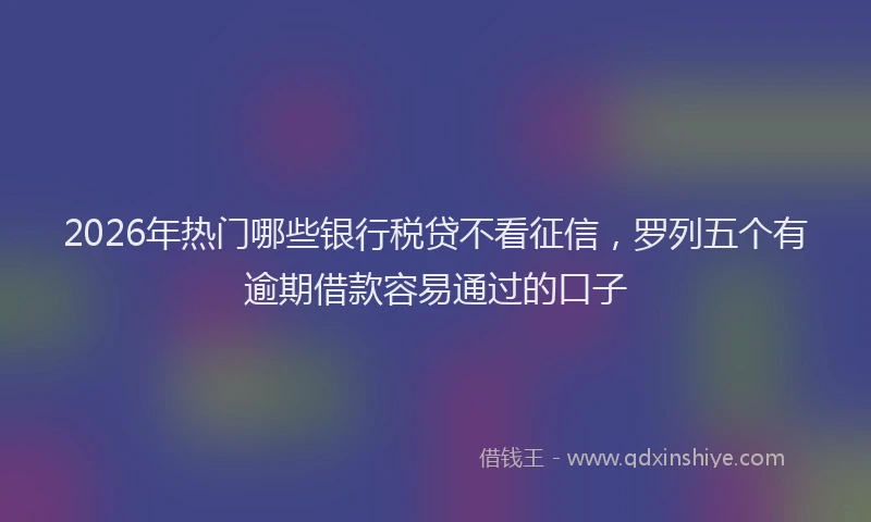 2026年热门哪些银行税贷不看征信，罗列五个有逾期借款容易通过的口子