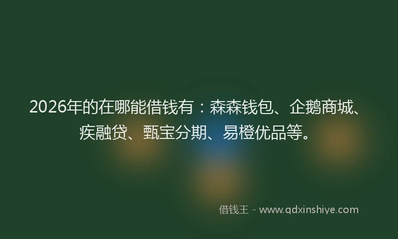 2026年的在哪能借钱有：森森钱包、企鹅商城、疾融贷、甄宝分期、易橙优品等。
