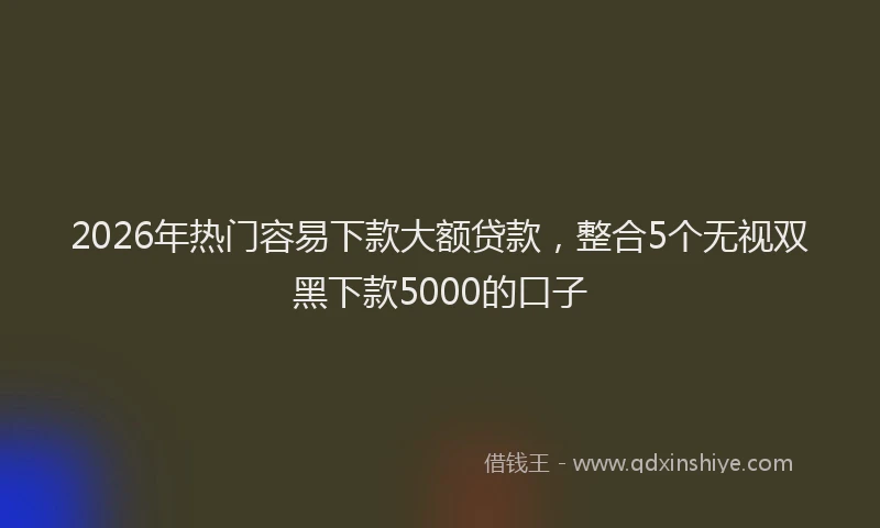 2026年热门容易下款大额贷款，整合5个无视双黑下款5000的口子