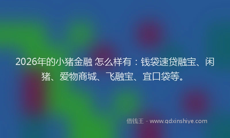 2026年的小猪金融 怎么样有：钱袋速贷融宝、闲猪、爱物商城、飞融宝、宜口袋等。