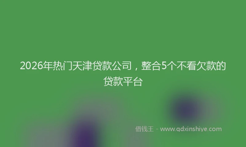 2026年热门天津贷款公司，整合5个不看欠款的贷款平台