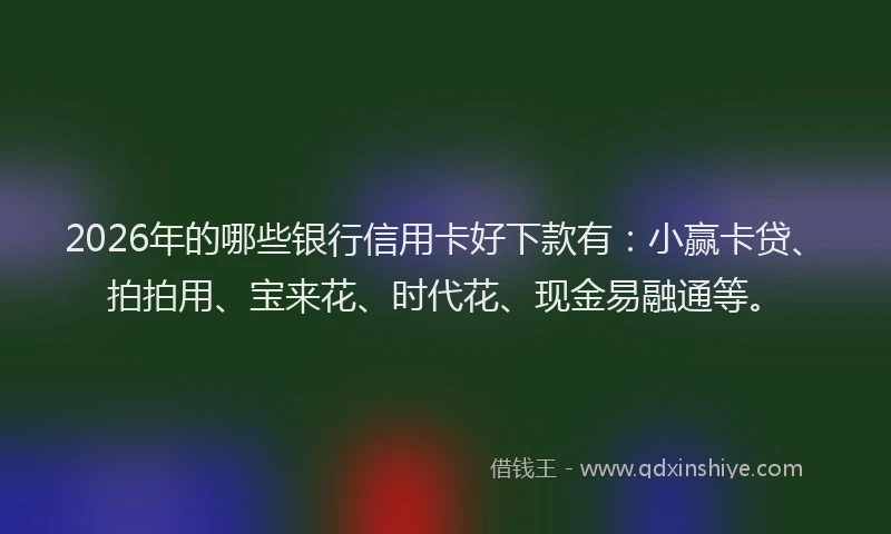 2026年的哪些银行信用卡好下款有：小赢卡贷、拍拍用、宝来花、时代花、现金易融通等。