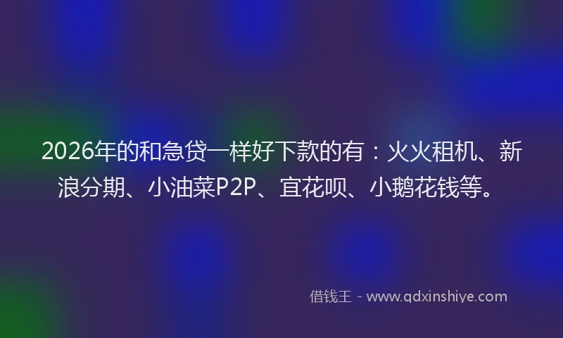 2026年的和急贷一样好下款的有：火火租机、新浪分期、小油菜P2P、宜花呗、小鹅花钱等。