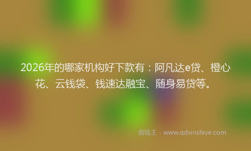 2026年的哪家机构好下款有：阿凡达e贷、橙心花、云钱袋、钱速达融宝、随身易贷等。