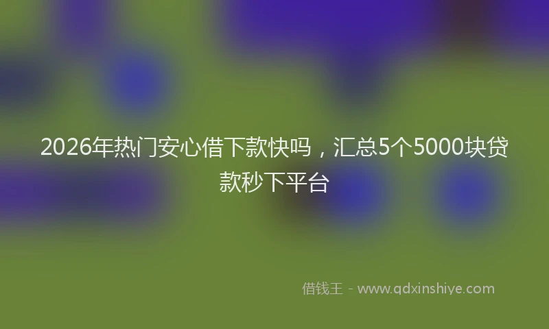 2026年热门安心借下款快吗，汇总5个5000块贷款秒下平台