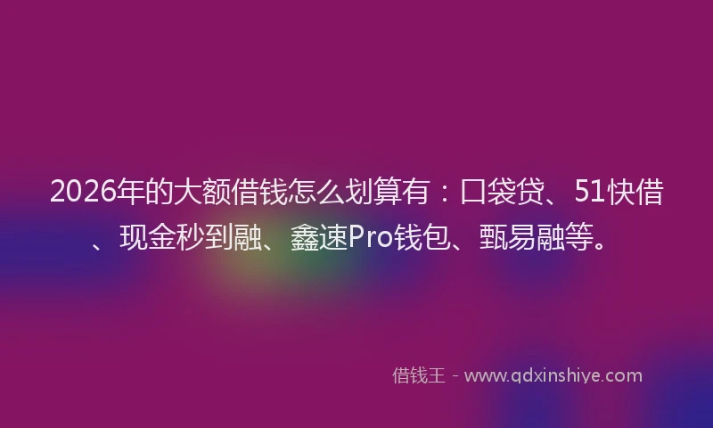 2026年的大额借钱怎么划算有：口袋贷、51快借、现金秒到融、鑫速Pro钱包、甄易融等。
