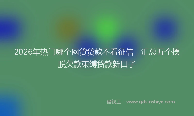 2026年热门哪个网贷贷款不看征信，汇总五个摆脱欠款束缚贷款新口子