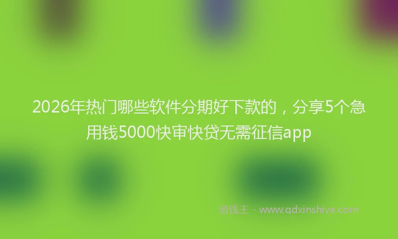 2026年热门哪些软件分期好下款的，分享5个急用钱5000快审快贷无需征信app