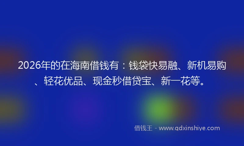 2026年的在海南借钱有：钱袋快易融、新机易购、轻花优品、现金秒借贷宝、新一花等。