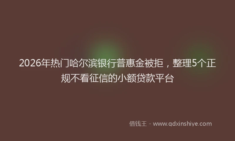 2026年热门哈尔滨银行普惠金被拒，整理5个正规不看征信的小额贷款平台