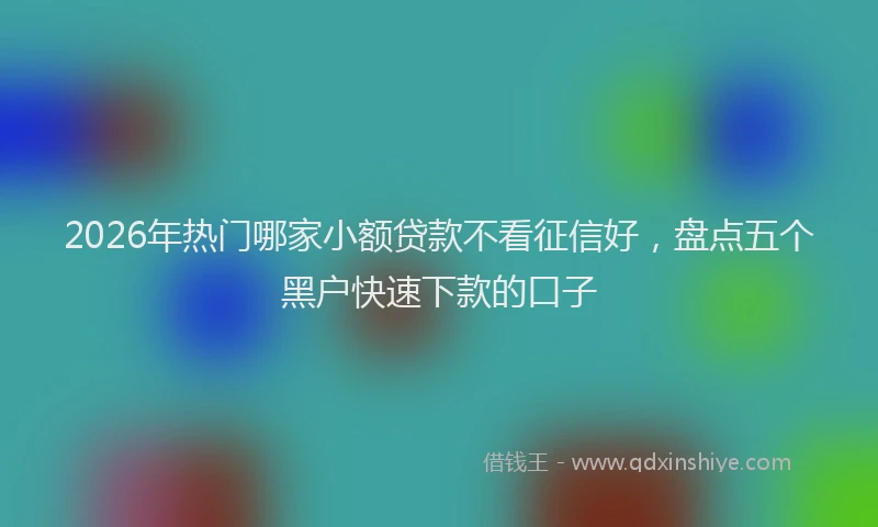 2026年热门哪家小额贷款不看征信好，盘点五个黑户快速下款的口子