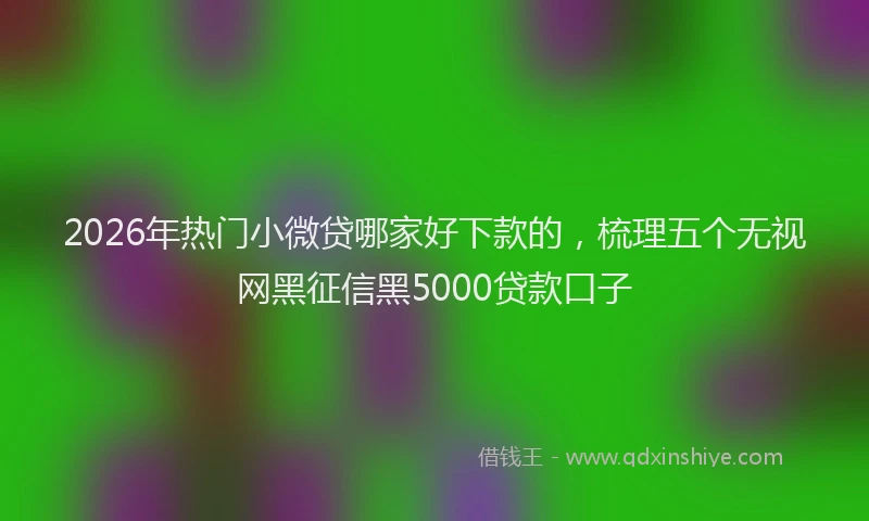 2026年热门小微贷哪家好下款的，梳理五个无视网黑征信黑5000贷款口子