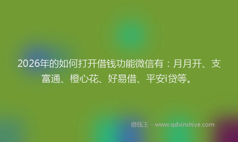 2026年的如何打开借钱功能微信有:月月开、支富通、橙心花、好易借、平安i贷等。