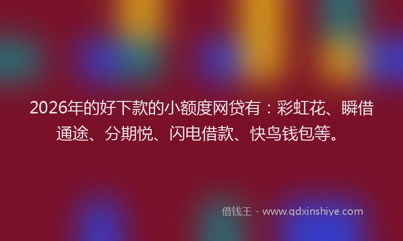 2026年的好下款的小额度网贷有：彩虹花、瞬借通途、分期悦、闪电借款、快鸟钱包等。