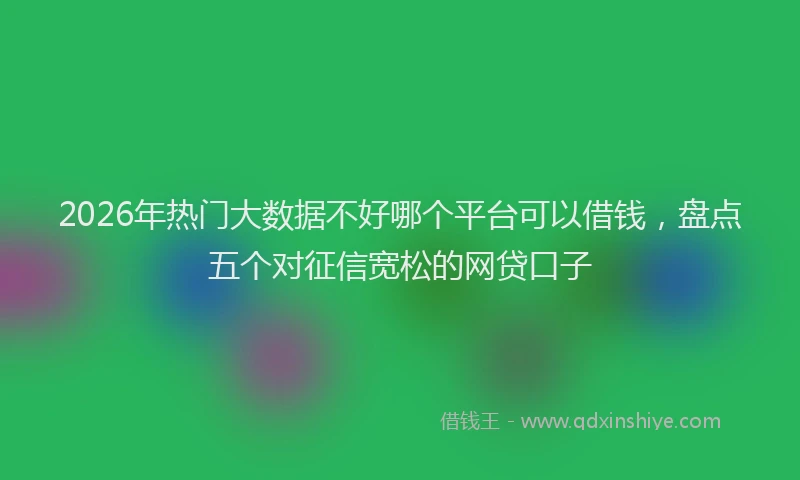 2026年热门大数据不好哪个平台可以借钱，盘点五个对征信宽松的网贷口子