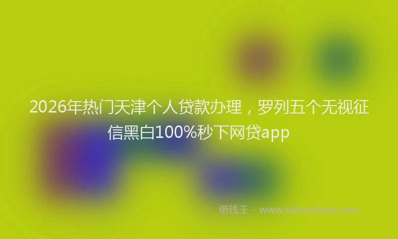 2026年热门天津个人贷款办理，罗列五个无视征信黑白100%秒下网贷app