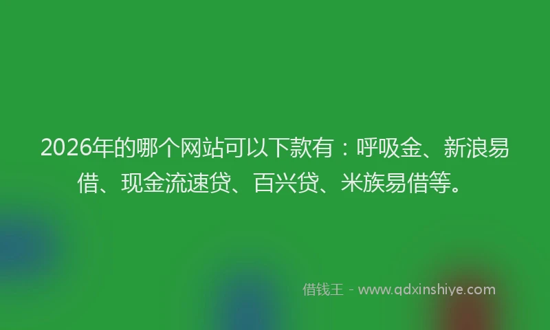 2026年的哪个网站可以下款有：呼吸金、新浪易借、现金流速贷、百兴贷、米族易借等。