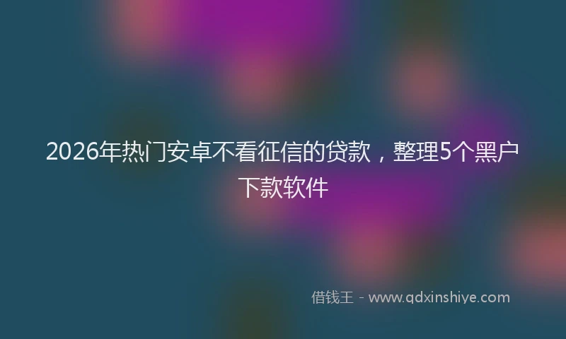 2026年热门安卓不看征信的贷款，整理5个黑户下款软件